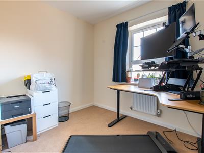 Picture 15